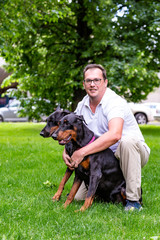 Wall Mural - two black dobermans. Man walks in the park two pureblood Dobermanns