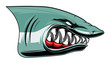 Angry shark head colored