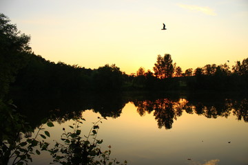 sunset, lake, water, sky, sunrise, landscape, nature, sun, river, reflection, orange, morning, blue,
