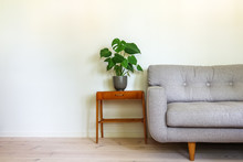Modern Retro Interior. A Gray Couch And Vintage Table With A Potted Plant, Fruit Salad Tree (Monstera Deliciosa). Empty White Wall In Background. Copy Space For Text.