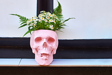 Pink flower pot in the form of a skull on a outdoor shelf at a street cafe