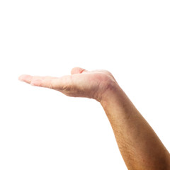 Adult male hand showing gesture of holding something isolated on white