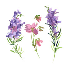 Watercolor Green Branch With Pink And Purple Wildflower