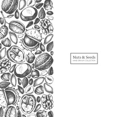 Wall Mural - Vector design with hand drawn nuts and seeds sketches. Hazelnut, walnut, pine nut, chestnut, sunflower, flax and pimpkin seeds drawing. Organic food template.