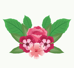 Sticker - Beautiful pink flowers with leaves vector illustration graphic design