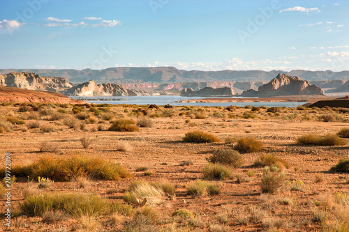 Fotomural The geological features and vegetation along the margins of the Grand canyon