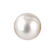 canvas print picture - Shimmering white natural pearl isolated on white background