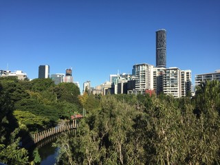 brisbane, city in the jugle