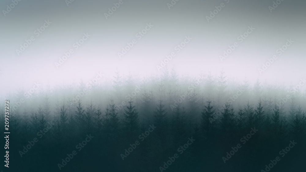 nature background with moody forest - obrazy, fototapety, plakaty 