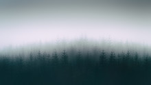 Nature Background With Moody Forest