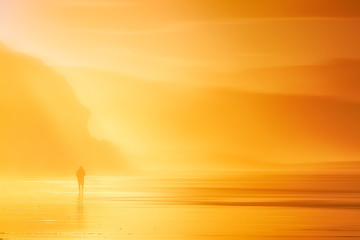 Wall Mural - lonely person walking on beach at sunset