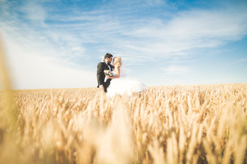 Beautiful wedding couple, bride and groom posing on wheat field with blue sky