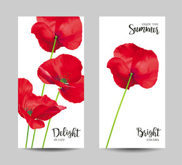 Sticker - Luxurious bright red vector Poppy flowers paintings set on white background