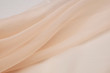 canvas print picture - Silk fabric, organza is light beige.