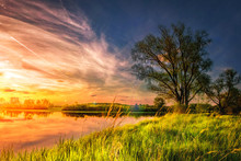 Amazing Landscape Of Summer Nature On River Shore At Sunset With Colorful Cloudy Sky. Perfect Scene Large Tree On Grassy Bank Of Lake. Grass Glowing On Warm Sunlight In The Evening.