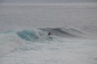 Surfing na Atlantyku