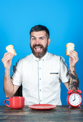 Wall Mural - Breakfast time. Morning breakfast. Bearded man eating yummy toast. Handsome satisfied man in white shirt sitting at table and eating. Bearded man eat from red plate. Coffee time.