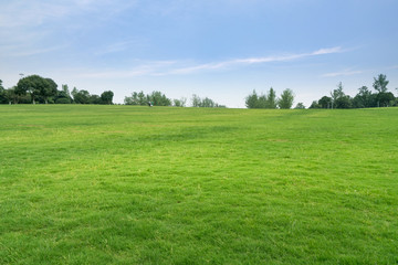 green lawn in urban public park