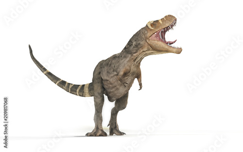 Cuadros en Lienzo Tyrannosaurus Rex on white background -
