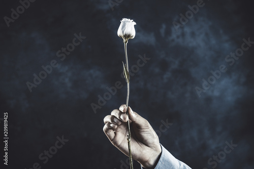 一輪の薔薇を持つ手 Buy This Stock Photo And Explore Similar Images At Adobe Stock Adobe Stock