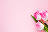 Fototapeta Tulipany - Bouquet of fresh tulips on pastel pink background. Minimalism. Soft light color. Greeting card. Mockup for positive ideas. Empty place for inspirational, emotional, sentimental text or quote.