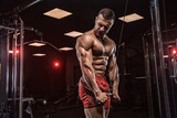 Handsome man with big muscles, posing at the camera in the gym