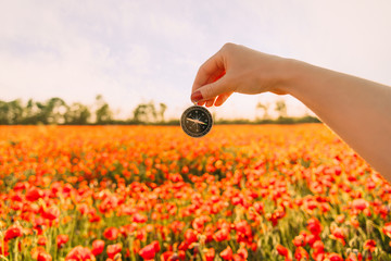 Wall Mural - Woman’s hand with compass in flower meadow.