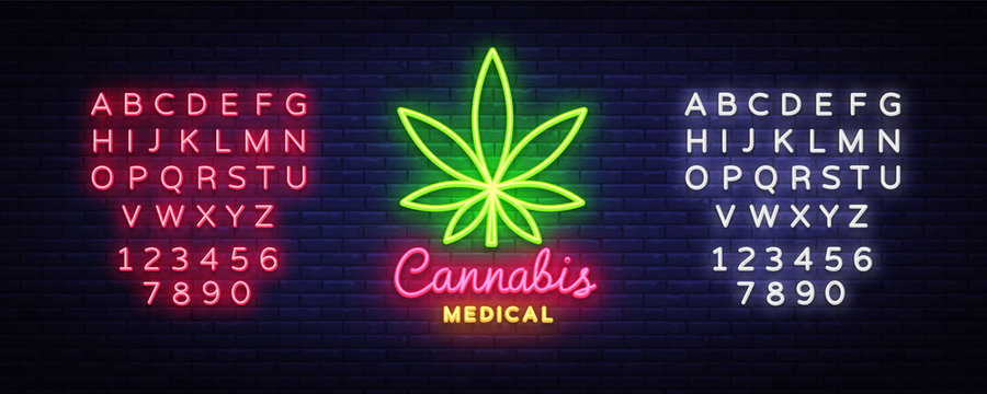 Marijuana medical neon sign and logo, graphic template in modern trend style. Cannabis is an organic hemp. Green farm Vector Illustrations. Editing text neon sign