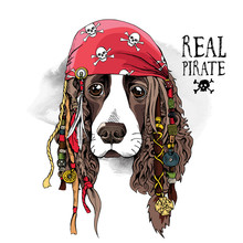 Portrait Of A Spaniel Dog In Pirate Bandana And With A Dreadlocks. Vector Illustration.