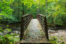 Foot Bridge Crossing A River Or Stream In A Forest.