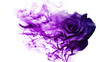 canvas print picture - Smoke rose from