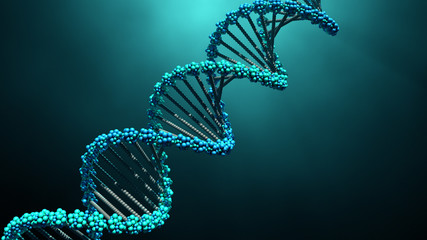 dna molecule