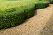 Green shrubs are trimmed and natural gravel floor below