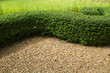 Green shrubs are trimmed and natural gravel floor below