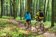 © phpetrunina14 - couple riding bicycle in forest in warm day. view from behind