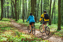 Couple Riding Bicycle In Forest In Warm Day. View From Behind
