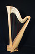 © Roza_Sean - Harp musical instrument, isolated on a black background, vertically with copy space