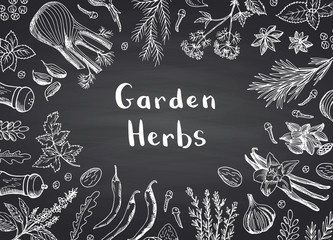 Wall Mural - vector hand drawn herbs and spices on black chalkboard background with place for text illustration