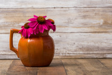 Cone Flowers Or Echinacea Flowers In A Rustic Pitcher
