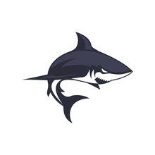 Shark Icon Vector Template