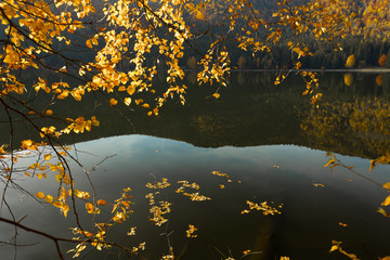 Beautiful sunset light on the shore of mountain lake during an autumn day. Trees in colors of fall