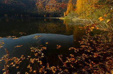 Fototapete - Beautiful sunset light on the shore of mountain lake during an autumn day. Trees in colors of fall