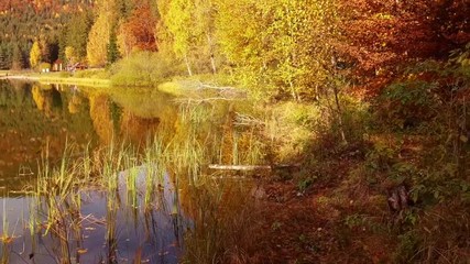 Wall Mural - Walking on lake shore during sunset. Beautiful warm light of dawn on autumn trees. Mountain lake walk