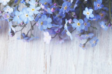 Wall Mural - Flowers forget-me-not close-up, top view, flat lay. natural floral background, macro photo.