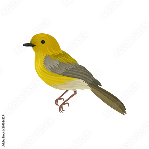 Cuadros en Lienzo Detailed vector icon of yellow warbler