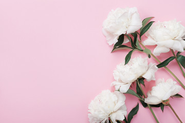 Wall Mural - White peony flowers on pink pastel table top view and flat lay style.