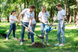 © LIGHTFIELD STUDIOS - friends planting new trees in park