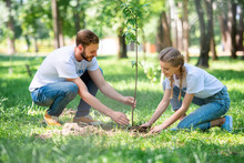 Young Couple Of Volunteers Planting New Tree In Park