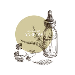 Wall Mural - Hand drawn set of essential oils. Vector yarrow milfoil flower. Medicinal herb with glass dropper bottle. Engraved art. Good for cosmetics, medicine, treating, aromatherapy, package design healthcare