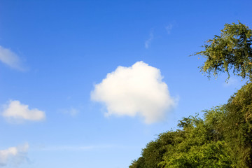 Wall Mural - Beautiful white clouds and blue sky background, The blue sky with white cumulus clouds, Beautiful cirrus clouds against the blue sky, soft clouds with day light on color blue sky,